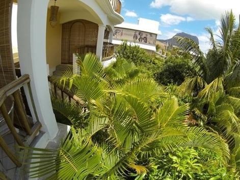 Pingo Studio Le Morne Exterior photo